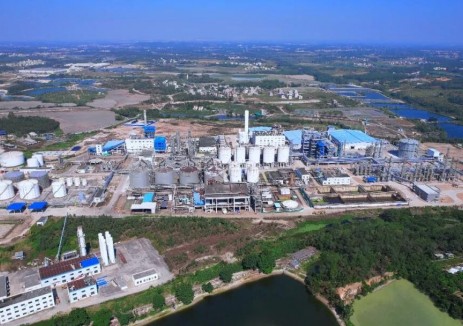 中集安瑞科年产5万吨的绿色甲醇项目投产，获百家投、研机构集体调研