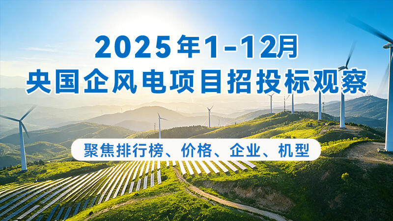 2025年1-12月风电招中标分析（央国企项目）