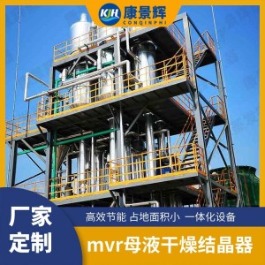 康景辉单效蒸发器 化工废液处理设备 定制化 提纯设备‌