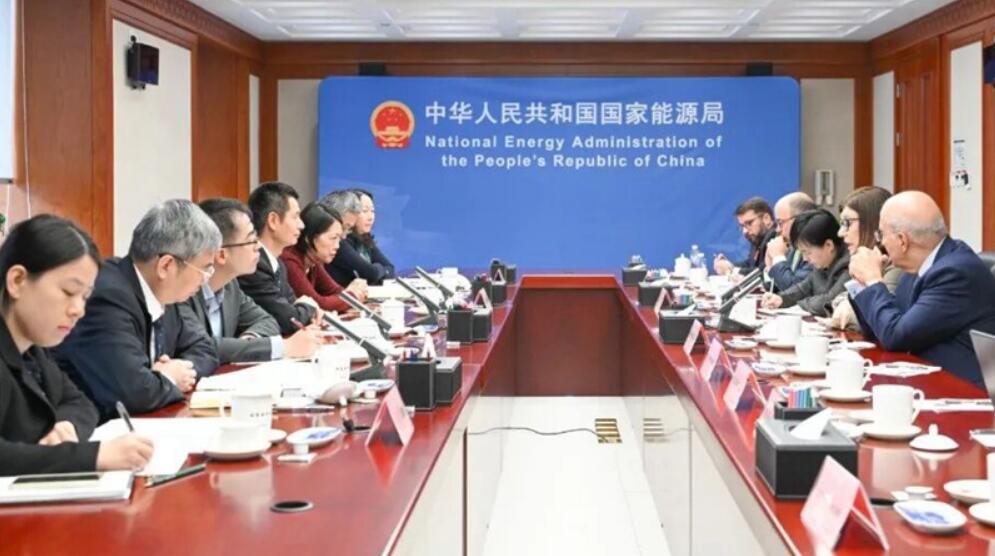 国家能源局负责人会见巴西国家石油公司总裁