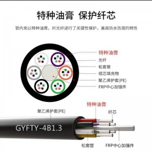 中联科技 非金属GYFTY-24B1/48B1光缆