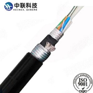 中联科技 非金属加强芯铠装GYFTA53-24B1光缆