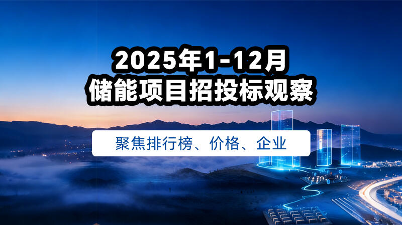 2025年1-12月儲(chǔ)能中標(biāo)分析
