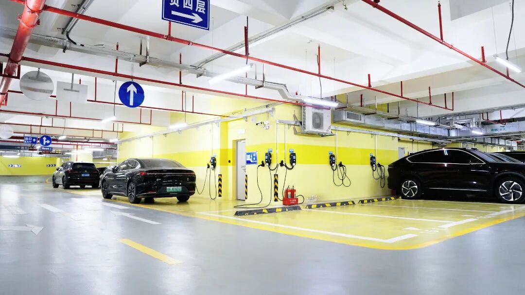 静帧 2025-12-11 111743_1.139.1.jpg