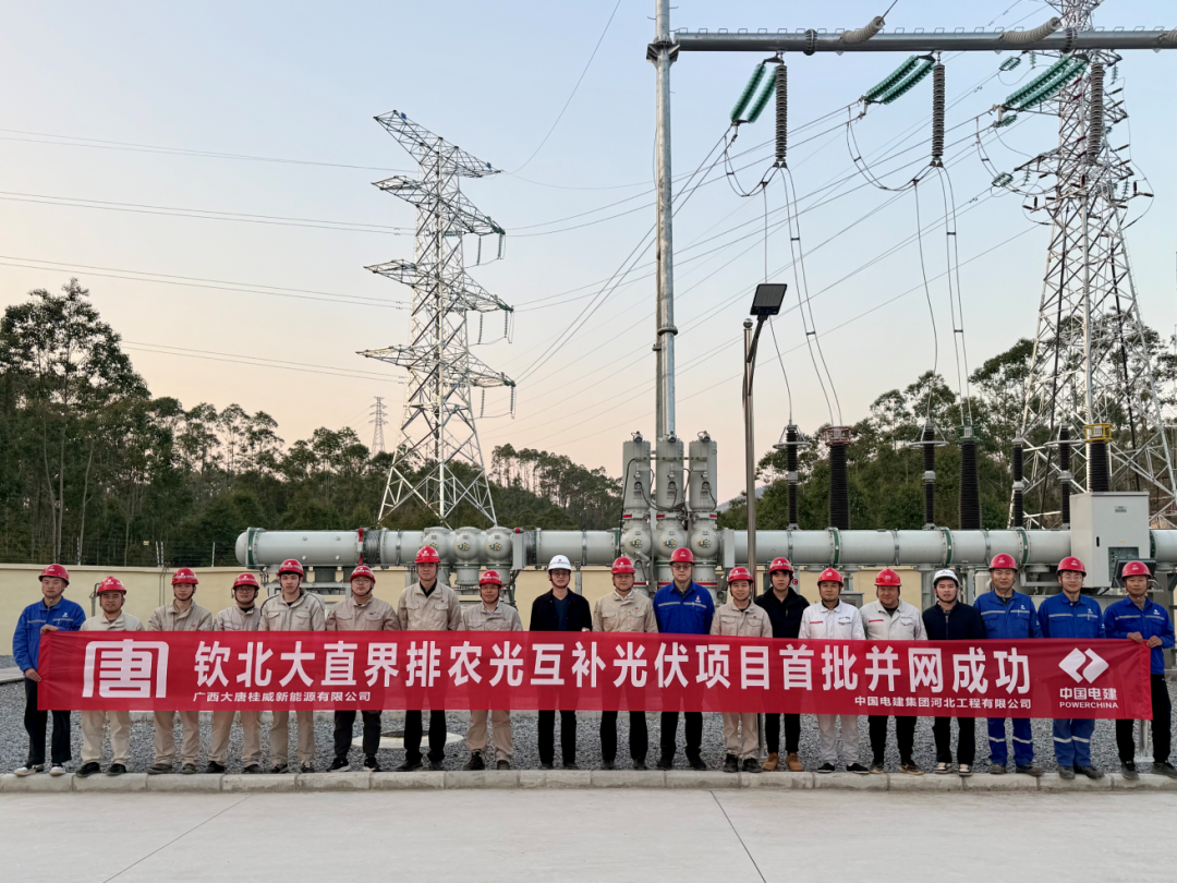 钦州事业部钦北大直界排农光互补光伏项目首批并网成功（黄春香摄）.png
