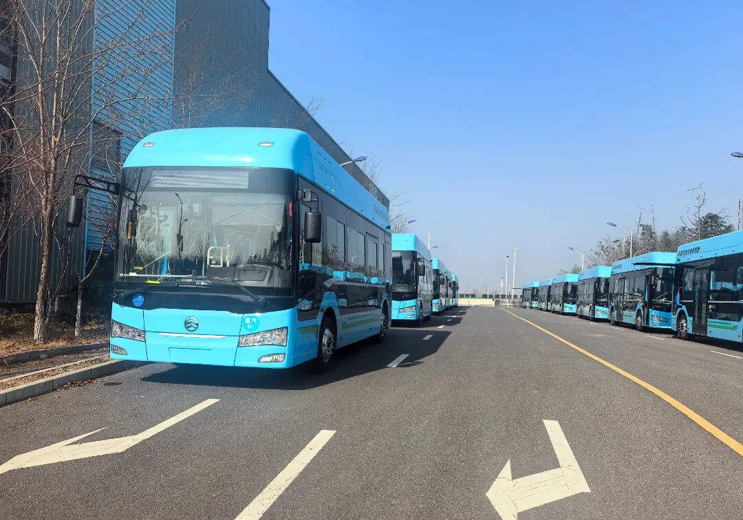 undefined 微信图片_20260115115527_95_35.jpg