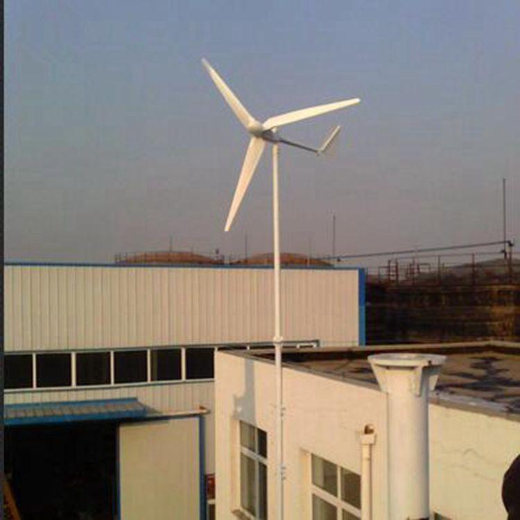 新型直驱式风力发电机2kw晟成进口轴承