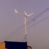 厂家供应1000W风力发电机 质量价格最低