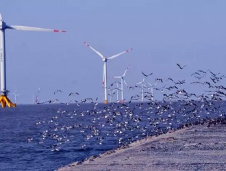 今明兩年將迎來海上風電加速核準建設期