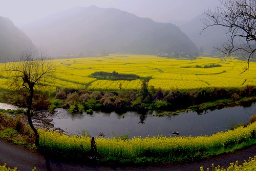 农村垃圾