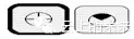 10.webp