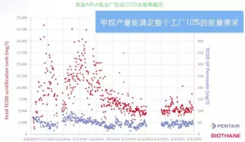 2行业裤头