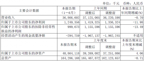 主要会计数据