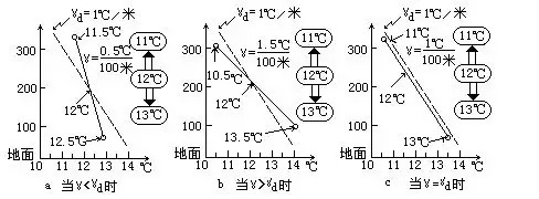 5.webp