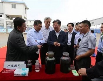 王显政调研陕煤化低阶粉煤快速热解技术项目