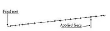 4.webp