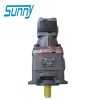 美国SUNNY齿轮泵HG22-125-80-01R-VPC