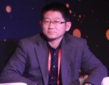 <em>王英歌</em>：沒有國八條會死很多光伏企業(yè)