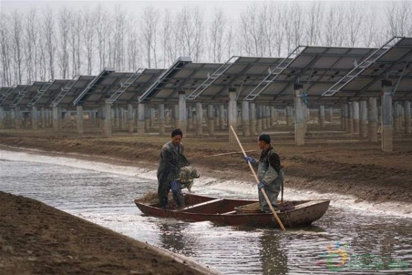 a5i6p89285840940855_副本