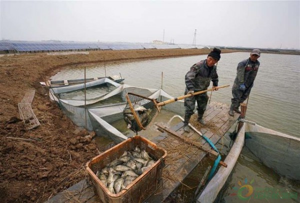 a5n1l79285868585855_副本