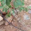 伊川县方便安装过滤器 防农药腐蚀小管出流