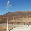 江苏路灯厂供应黑龙江伊春市伊春区5米led太阳能路灯