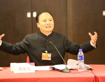 【<em>两会</em>】刘汉元委员：支持绿色产业发展  减免光伏行业税费