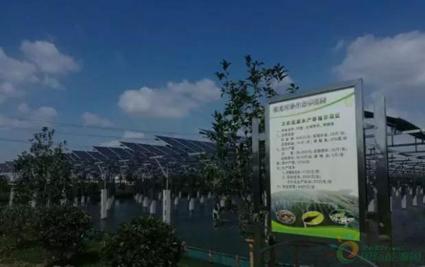 江苏苏州万农9.8 MW渔光分布式项目