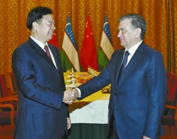 王宜林拜会乌兹别克斯坦总统米尔济约耶夫