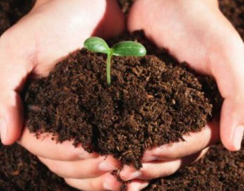 土壤修復成時代性問題 相關企業<em>稀缺</em>亟待投資者入局