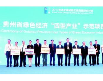 贵州10个<em>绿色经济</em>"四型产业"示范项目获授牌