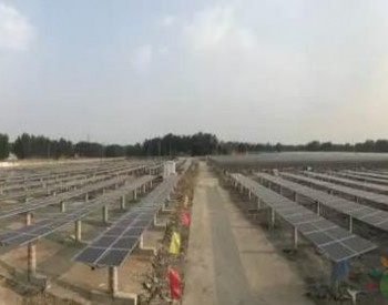 晶澳2017首个总承包<em>10MW光伏发电</em>项目成功抢点630