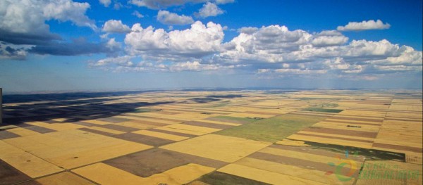 2bf6025b2fbc40eb96075750b43cfae7_th