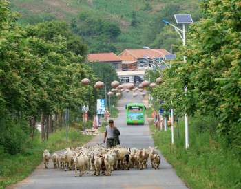 <em>新能源公交</em>开进了小山村