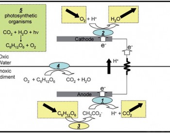 NRL：获太阳能微<em>生物燃料电池</em>专利