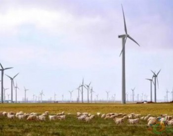 日本要从蒙古接风电 计划成立跨海电力网