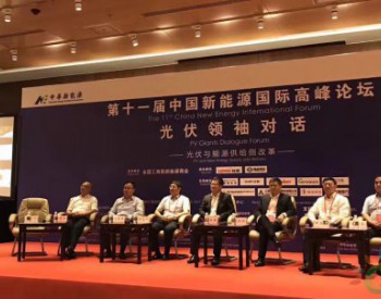 新能源：供给侧改革新动能——第十一届中国新能源国际高峰论坛在京召开