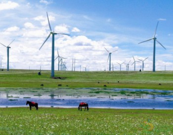 上半年<em>风电产业发展</em>质量稳步提升
