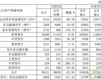 <em>江淮新能源</em>：7月纯电动乘用车销量实现139.11%增长