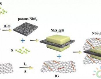 三明治型NbS2@S@I掺杂石墨烯