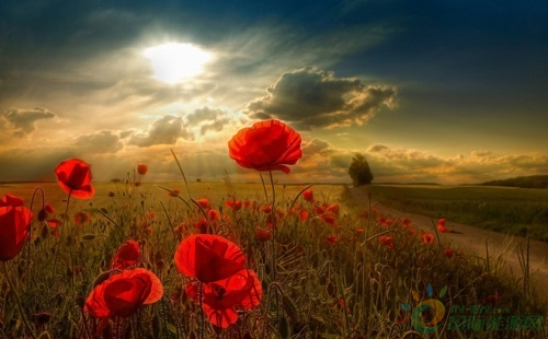 QQ截图20170823092523