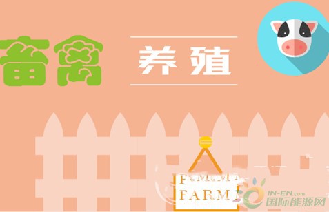 QQ截图20170825084805