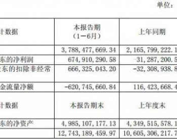 <em>华友钴业</em>：上半年净利润同比增长2257.15%