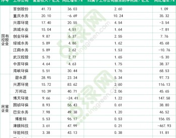 <em>环保圈</em>国企VS民营，谁更有优势？