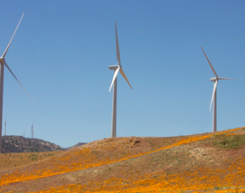 新疆兩風電項目獲批平價上網