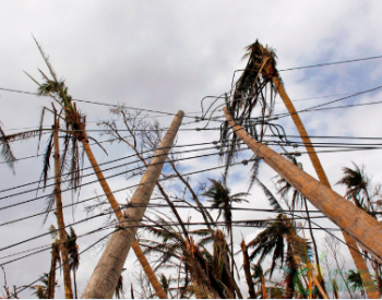 波多黎各遭<em>飓风</em>影响电力 总督看好特斯拉太阳能系统