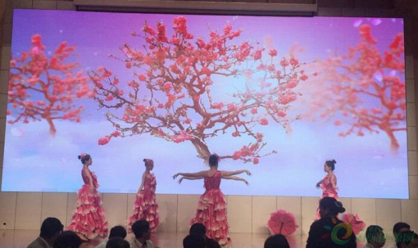 QQ截图20171023144718