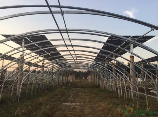 QQ截圖20171030152418