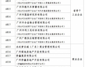 2017年10月份广州市准入电力市场交易一般<em>用户名单</em>及集中竞争交易成交结果