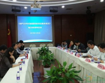 上海市地方标准《天然气分布式能源系统项目服务规范》顺利通过审定